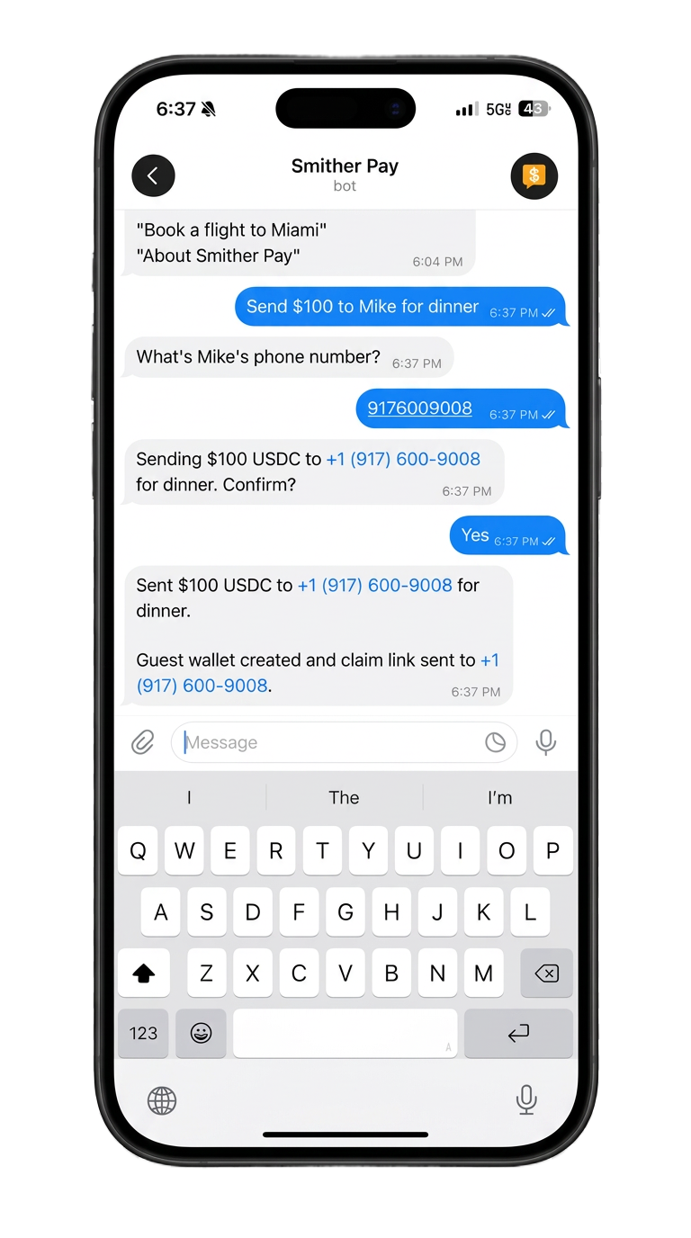 Smither chat payment interface on a phone